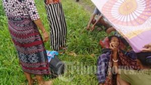 Kronologi-Ibu-Muda-di-Sikka-Melahirkan-di-Pinggir-Saat-Hendak-Ditandu-Menuju-ke-Puskesmas.jpg