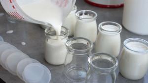 Menyimpan-Yogurt.jpg