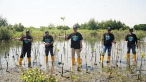 PLN-Rehabilitasi-Mangrove-Dalam-Program-Mageri-Segoro.jpg