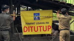 Pemkab-Sleman-Tutup-Paksa-Tiga-Peternakan-Babi-di-Tlogoadi.jpg
