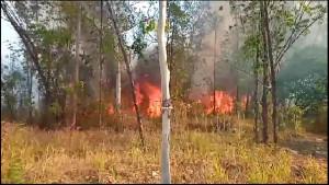 Penampakan-kebakaran-yang-terjadi-di-Hutan-Wanagama-9102023.jpg