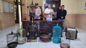 Pencuri-Burung-di-Magelang-Gasak-8-Sangkar-Total-Kerugian-Jutaan-Rupiah.jpg