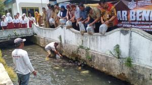 Peringati-HUT-ke-75-DPRD-Klaten-Tebar-50-Ribu-Benih-Ikan-Nila.jpg