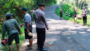 Pria-Asal-Bantul-Meninggal-Dunia-Usai-Tertimpa-Pohon-Tumbang-di-Samigaluh.jpg