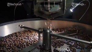 Proses-mengolah-biji-kopi-di-tempat-pengolahan-biji-kopi-Kebun-Kopi-Lereng-Merapi.jpg
