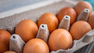 Protein-Telur.jpg