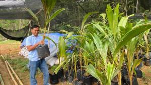 Ratusan-Pohon-Kelapa-Kopyor-di-Atas-TKD-Jatimulyo-Disiapkan-Jadi-Wisata-Edukasi-dan-Sumber-Ekonomi.jpg