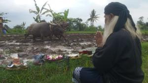 Ritual-labuh-sawah-atau-Megawe.jpg