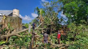 Sebanyak-18-Rumah-di-Gantiwarno-Rusak-Akibat-Pohon-Tumbang.jpg