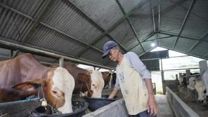 Stok-Hewan-Kurban-di-Sleman-Melimpah-Daya-Beli-Turun-Harga-Sedikit-Naik.jpg