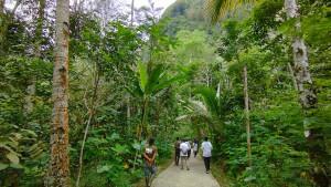 Suguhkan-Wisata-Alam-Berbasis-Masyarakat-Deswita-Jatimulyo-di-Kulon-Progo-Masuk-50-Besar-ADWI-2024.jpg