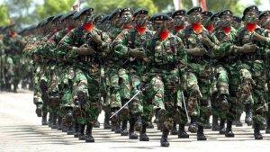 TNI-Indonesia-sebagai-peran-lembaga-negara-dalam-bidang-pertahanan.jpg