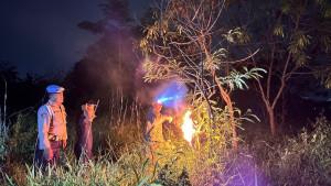 Tersengat-Tawon-Vespa-Saat-Cari-Rumput-di-klaten.jpg