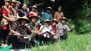 Tradisi-Wiwitan-di-Kota-Yogya-Dihidupkan-Kembali-Ajak-Generasi-Muda-Aktif-Bertani.jpg