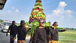 Warga-Desa-Malangjiwan-Klaten-Gelar-Kirab-Budaya.jpg