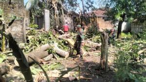 Warga-relawan-dan-TNI-Polri-sedang-mengevakuasi-pohon-tumbang.jpg