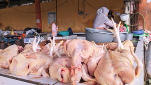 ayam-potong-yang-berada-di-salah-satu-lapak-Pasar-Argosari.jpg