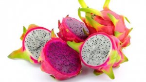 buah-naga_1003_20180310_100553.jpg