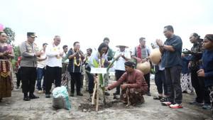 kelapa-genjah-sleman.jpg