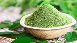 khasiat-daun-kelor-yang-jarang-diketahui-lengkap-dengan-kandungan-nutrisi-moringa.jpg