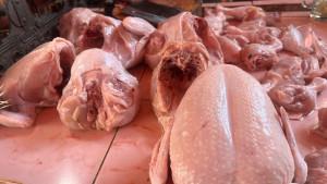 komoditas-daging-ayam.jpg