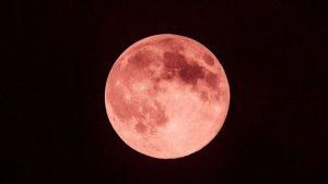 malam-ini-fenomena-bulan-purnama-strawberry-full-moon-puncaknya-pukul-0212-wib-1.jpg