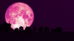 malam-ini-fenomena-bulan-purnama-strawberry-full-moon-puncaknya-pukul-0212-wib.jpg