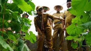 tanam-Perdana-Melon-Hidroponik-Kalurahan-Pacarejo-Gunungkidu.jpg