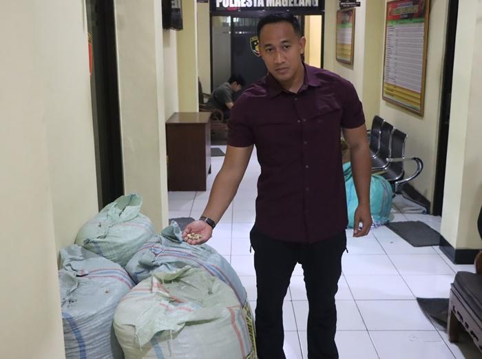 Demi Bayar Utang, Tukang Bangunan di Magelang Nekat Curi Ratusan Kilogram Kapulaga Milik Majikan - Tribunjogja.com