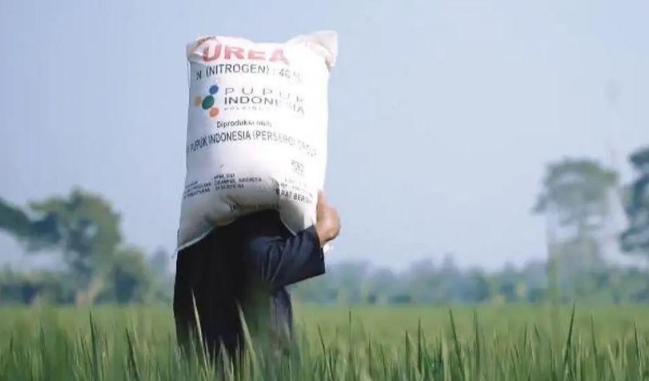 Alokasi-Pupuk-Subsidi-2025-Wilayah-Klaten-Turun-Dibanding-2024.jpg