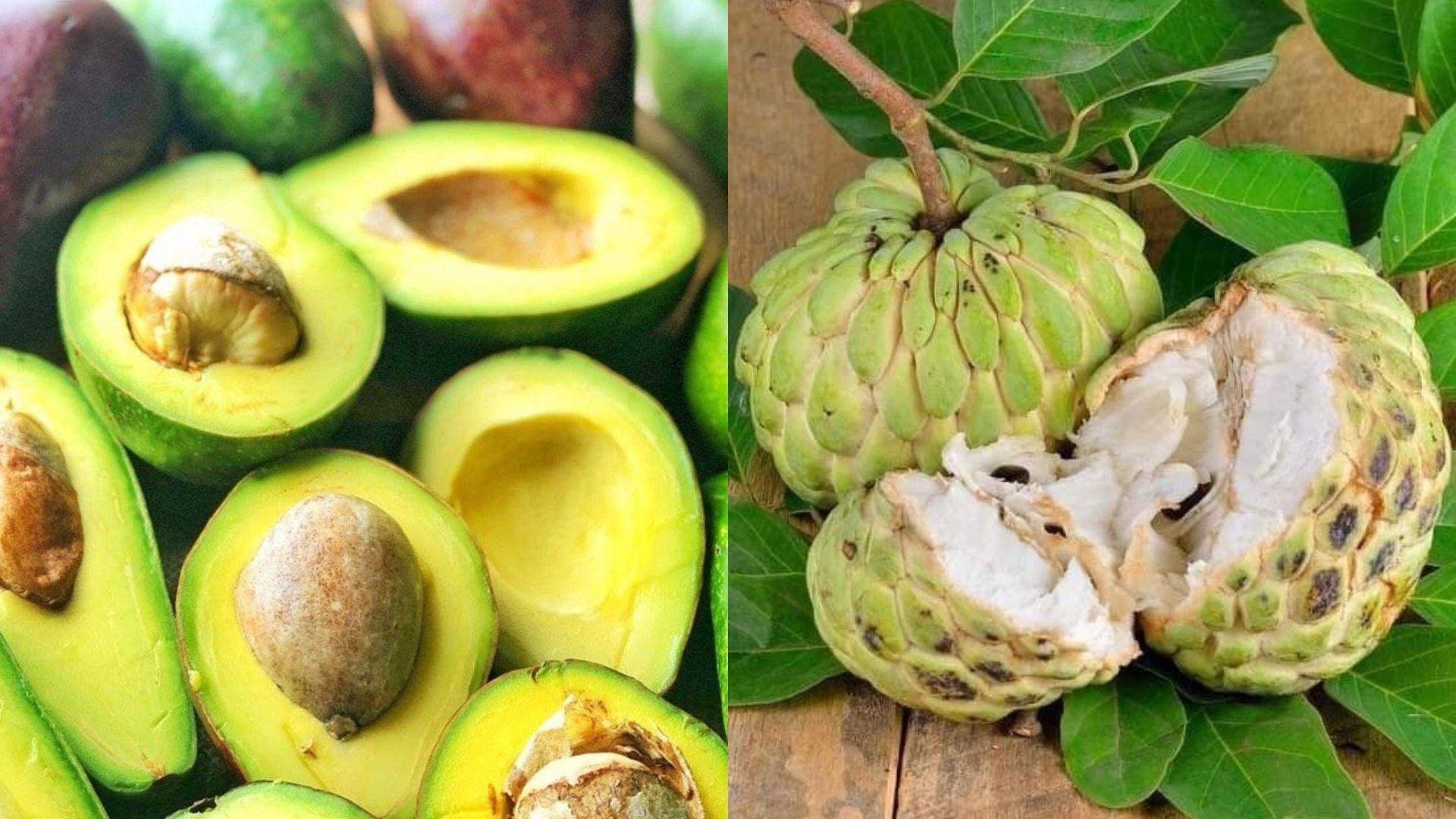 Alpukat-dan-Srikaya.jpg