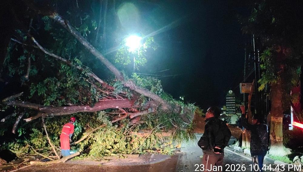 Angin-Kencang-Terjang-Sleman-Pohon-Tumbang-Timpa-Listrik-dan-Tutup-Jalan.jpg