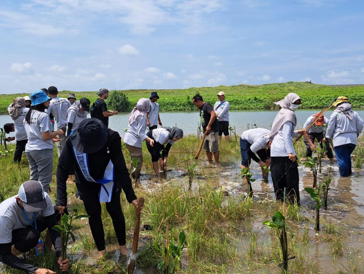 Antisipasi-Terjadinya-Abrasi-1000-Pohon-Mangrove-Ditanam-di-Pantai-Samas-Bantul.jpg