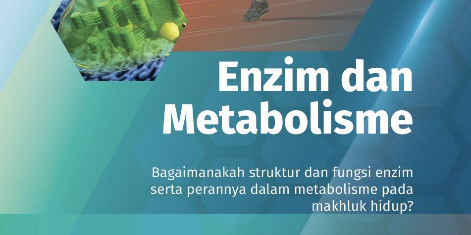 Enzim-dan-Metabolisme-1.jpg