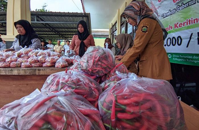 Harga Cabai di Kulon Progo Berangsur Turun, Imbas Datangnya Pasokan dari Luar Daerah