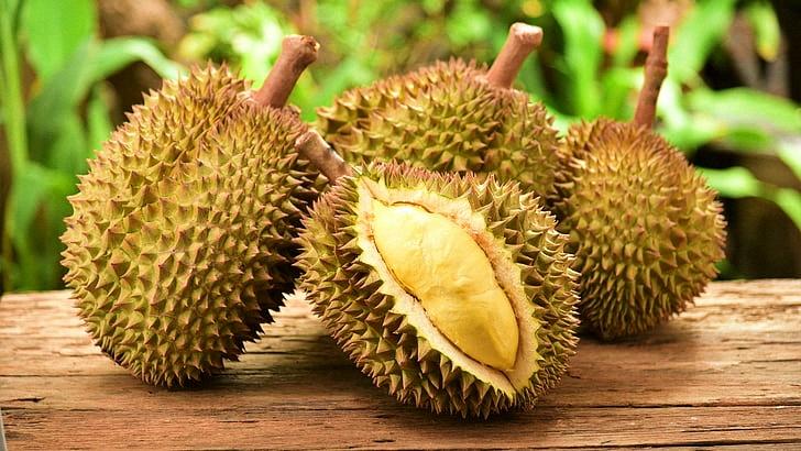 Ilustrasi-Foto-Durian-Foto-Duren-II.jpg