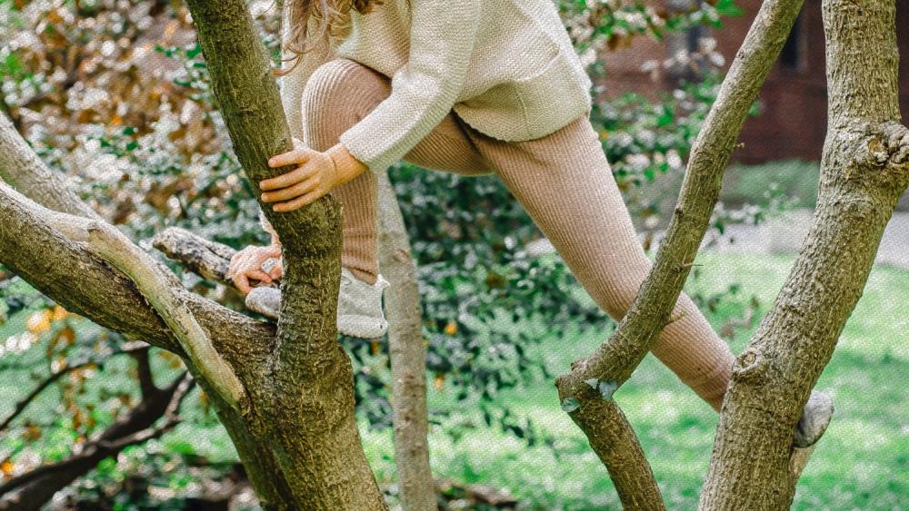 ARTI Mimpi Memanjat Pohon Menurut Primbon Jawa, Berjuang untuk Kesuksesan