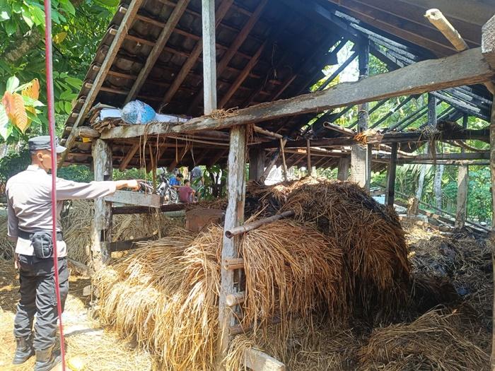 Kandang Sapi di Pengasih Kulon Progo Terbakar Akibat Api Bakaran Sampah Warga