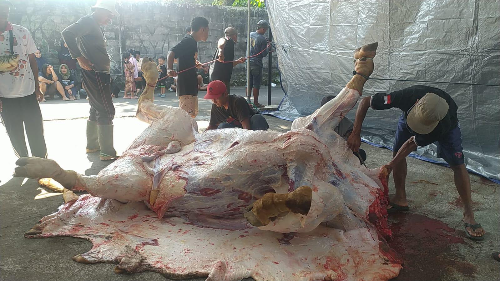 Kekompakan-warga-Temanggung-Tempel-Sleman-membagi-daging-kurban-Presiden-Prabowo.jpg