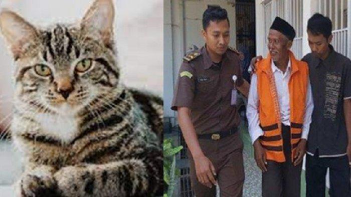 Kisah-anak-yang-pidanakan-ayah-sendiri-gara-gara-kotoran-kucing.jpg