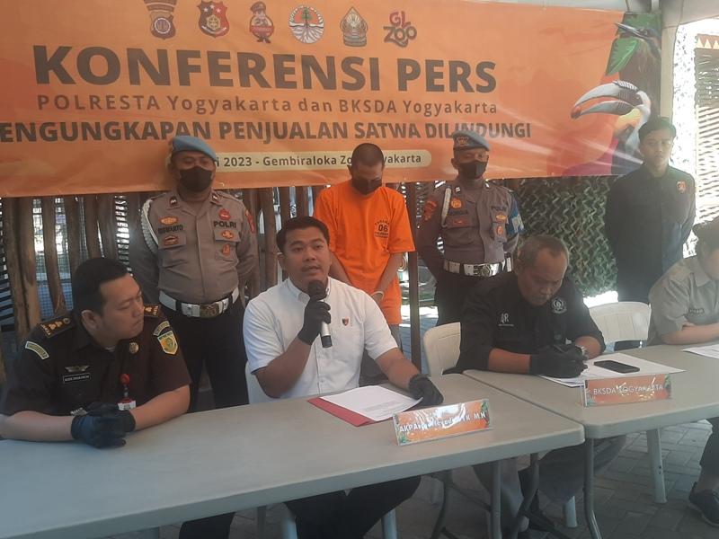 Kronologi-Polisi-Bongkar-Penjualan-Satwa-Dilindungi-Berawal-dari-Patroli-Cyber.jpg