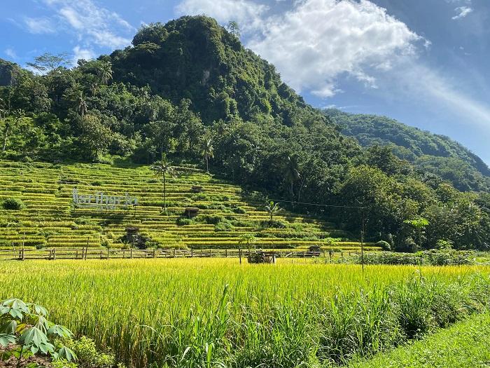 Menelusuri Pesona Desa Wisata Srikeminut, Obat Penawar Hiruk Pikuk Perkotaan