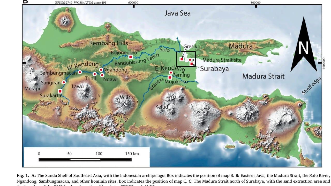 Mengejutkan-Inilah-Jejak-Temuan-Homo-Erectus-di-Dasar-Selat-Madura-Jawa-Timur.jpg