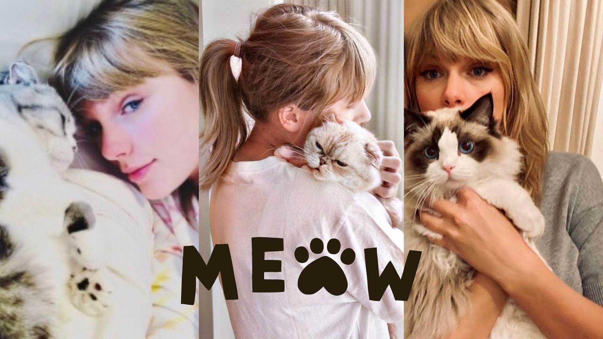 Momen-Kedekatan-Taylor-Swift-Dengan-Kucingnya-yang-Gemas.jpg