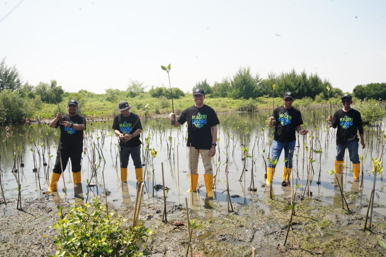PLN-Rehabilitasi-Mangrove-Dalam-Program-Mageri-Segoro.jpg