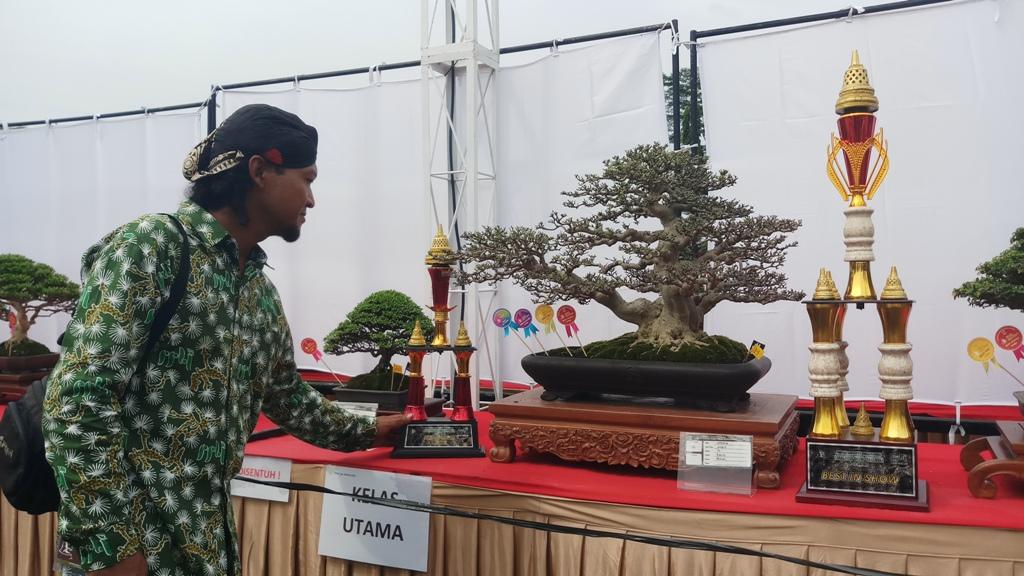 Penampakan-bonsai-bonsai-yang-mengikuti-pameran-9622.jpg
