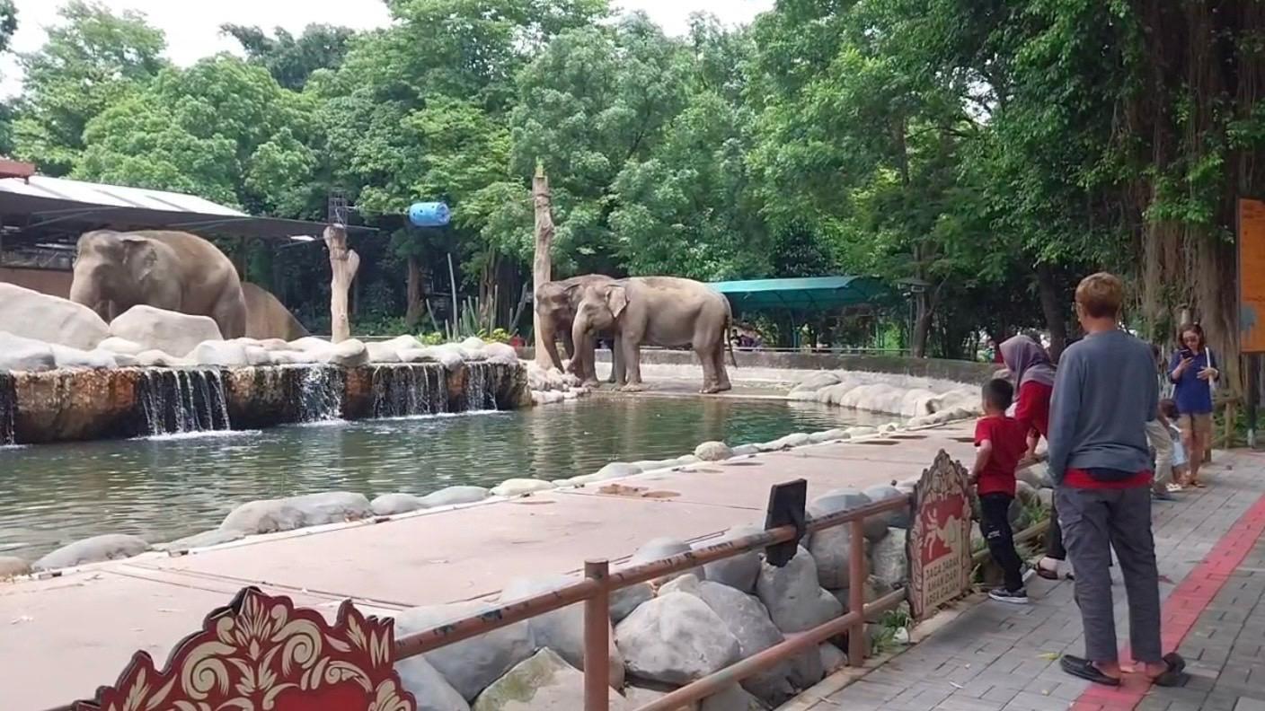 Pengunjung-Gembira-Loka-Zoo-meningkat-sejak-Senin-31032025-yang-mencapai-1200-an.jpg