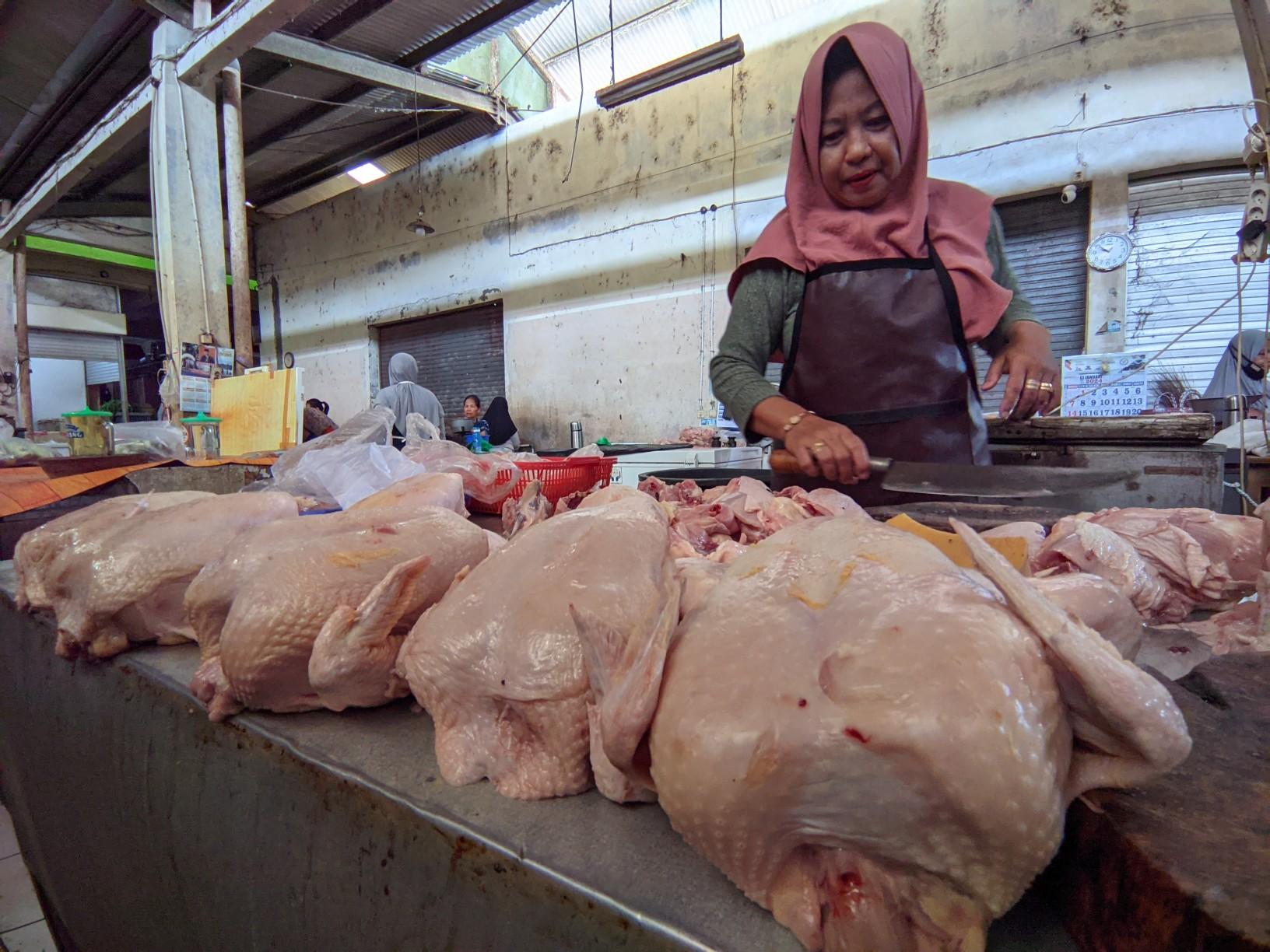 Permintaan-Melonjak-Pedagang-Daging-Ayam-di-Wates-Kulon-Progo-Raup-Rezeki-di-Libur-Nataru.jpg