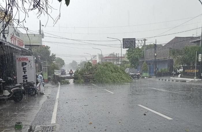 Pohon-tumbang-di-Sugeng-Jeroni-Kota-Jogja-Jumat-31102025.jpg