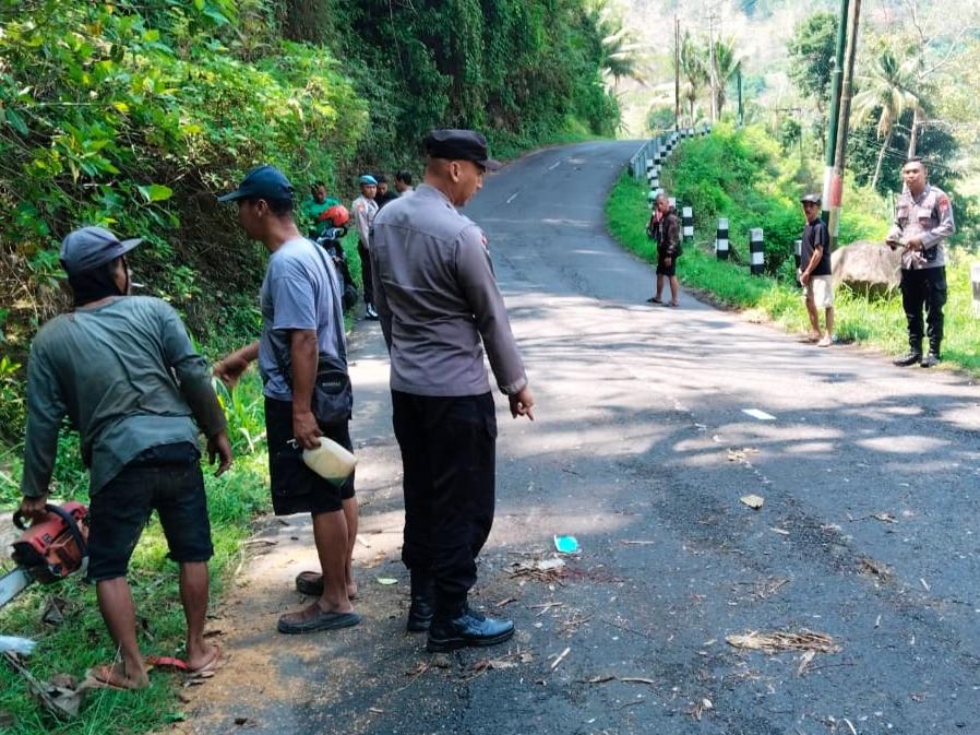 Lansia Asal Bantul Meninggal Tertimpa Pohon Saat Berboncengan dengan Istri